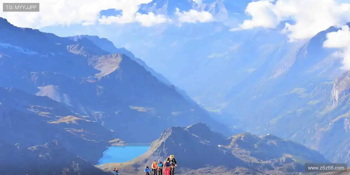 📱🎥 实时追踪,高清无死角!